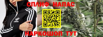 PSILOCYBIN Берёзовский