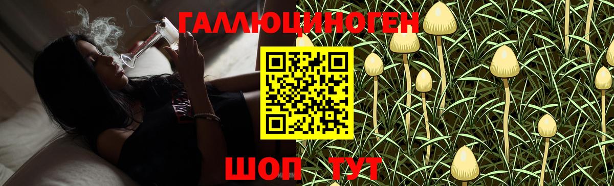 Камень-на-Оби  Галлюциногенные грибы Psilocybe  наркотики  Вход с VPN 